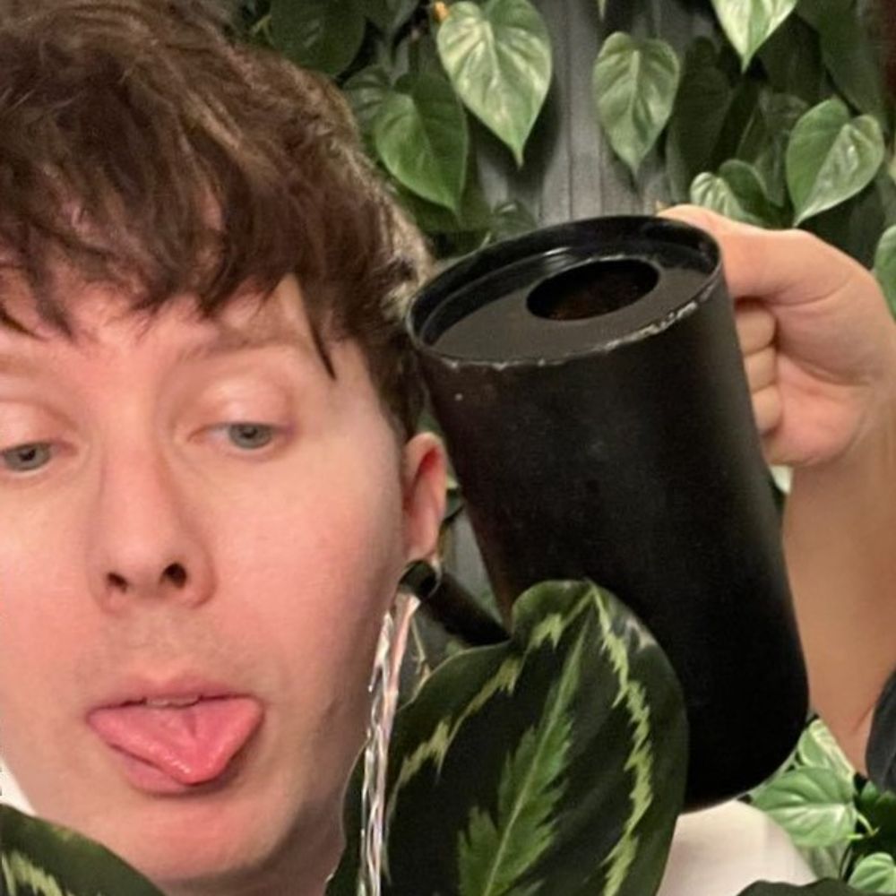 silverfoxphil
