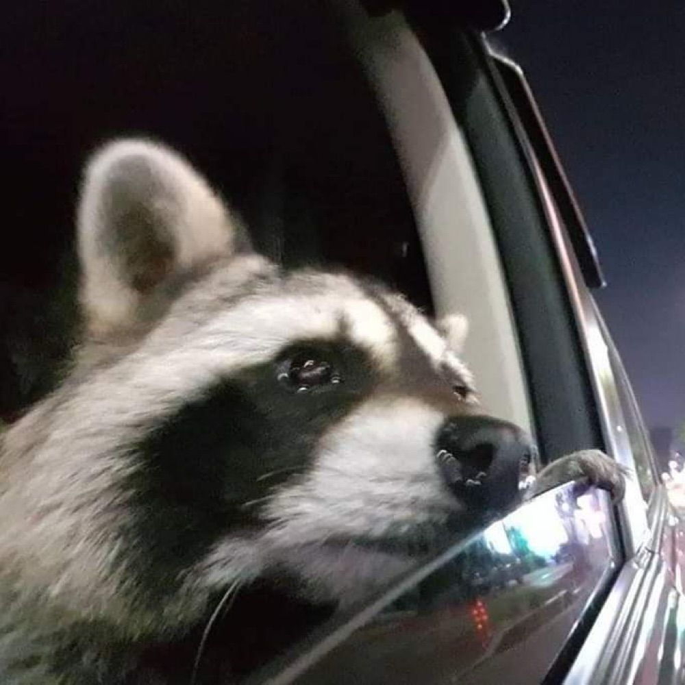 해복이