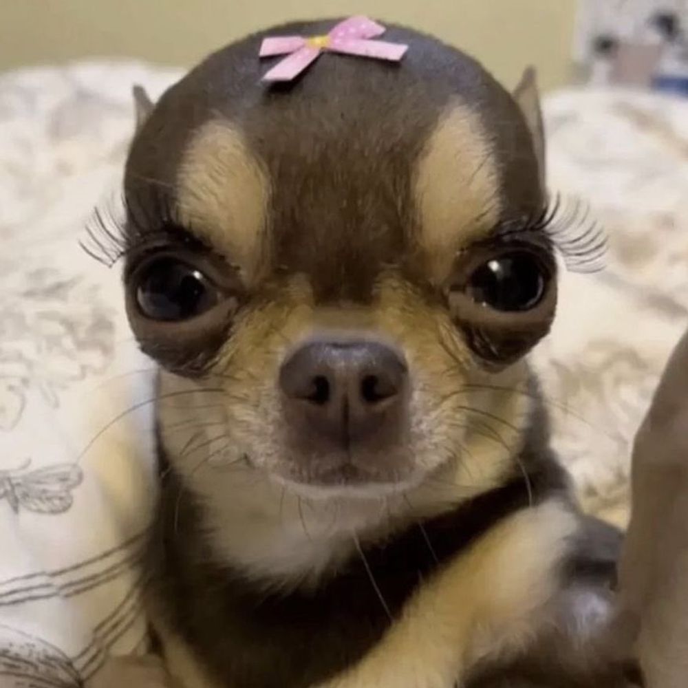 골명이