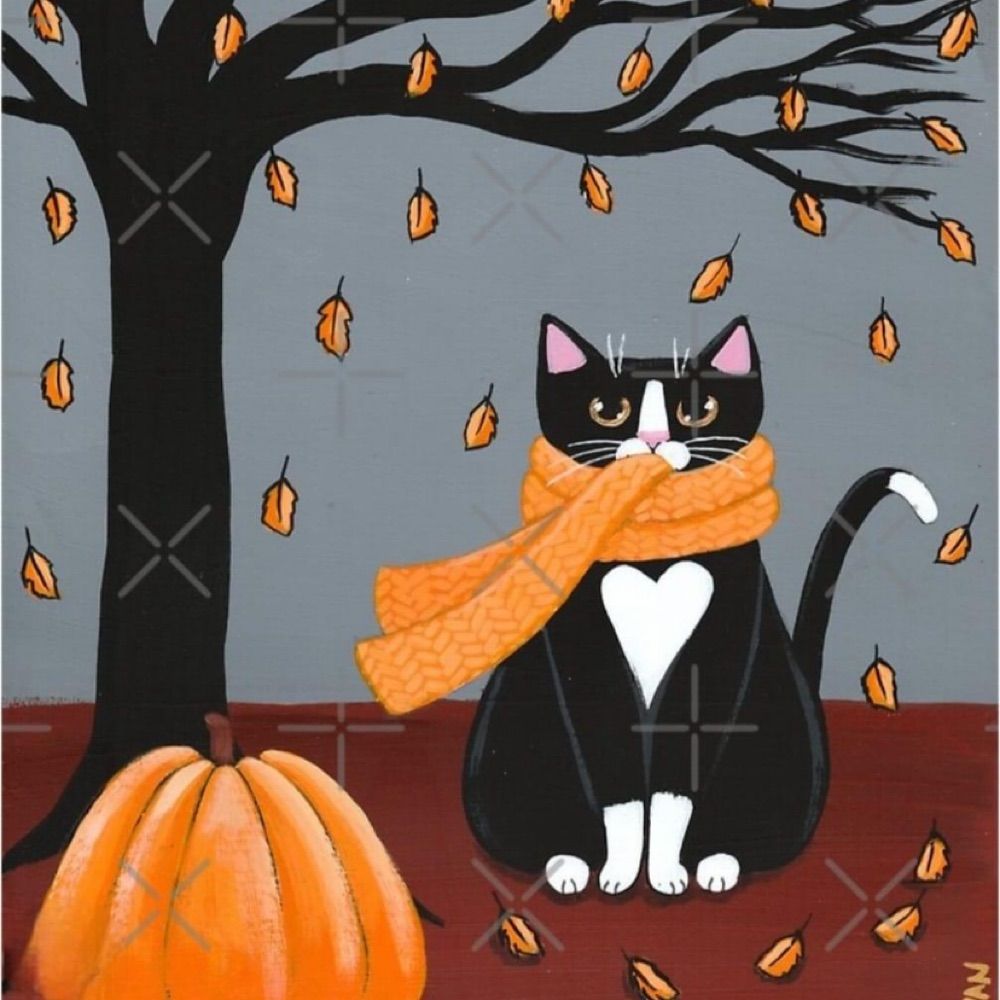 Tracy Eibel