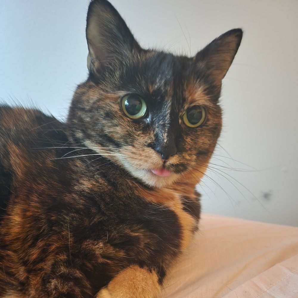 Almendra