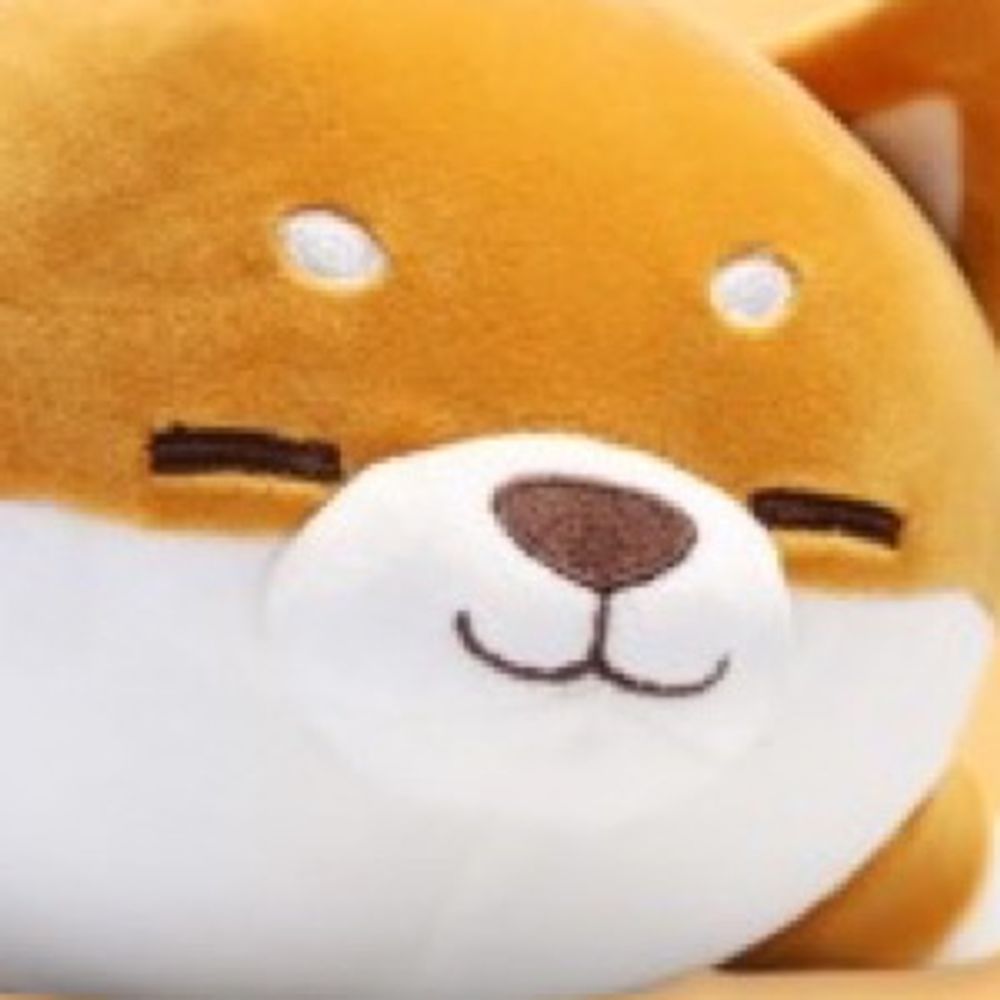 대장