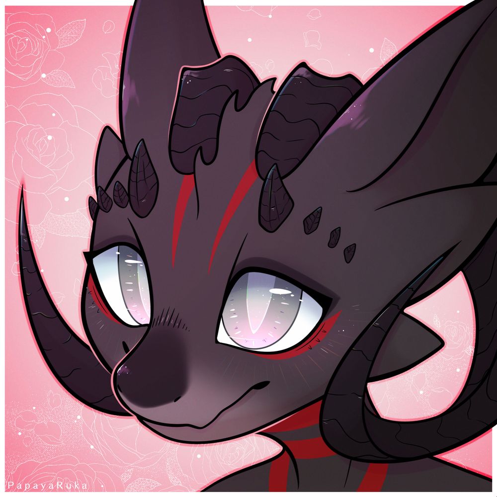 papayaruka.bsky.social profile picture