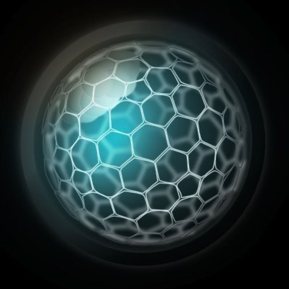 bedzhov lab