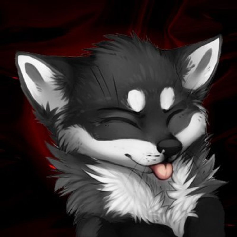 Hiroki - The Spicy Fox