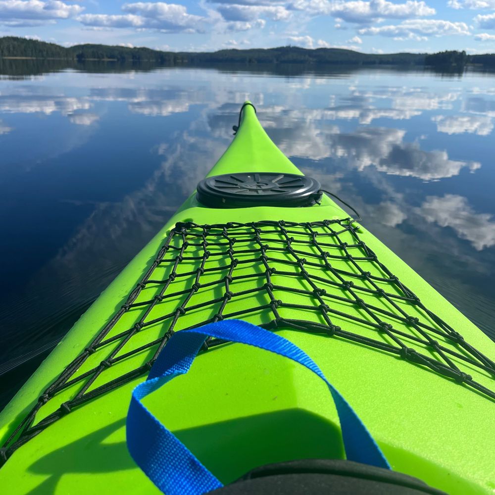 Visahonkanen