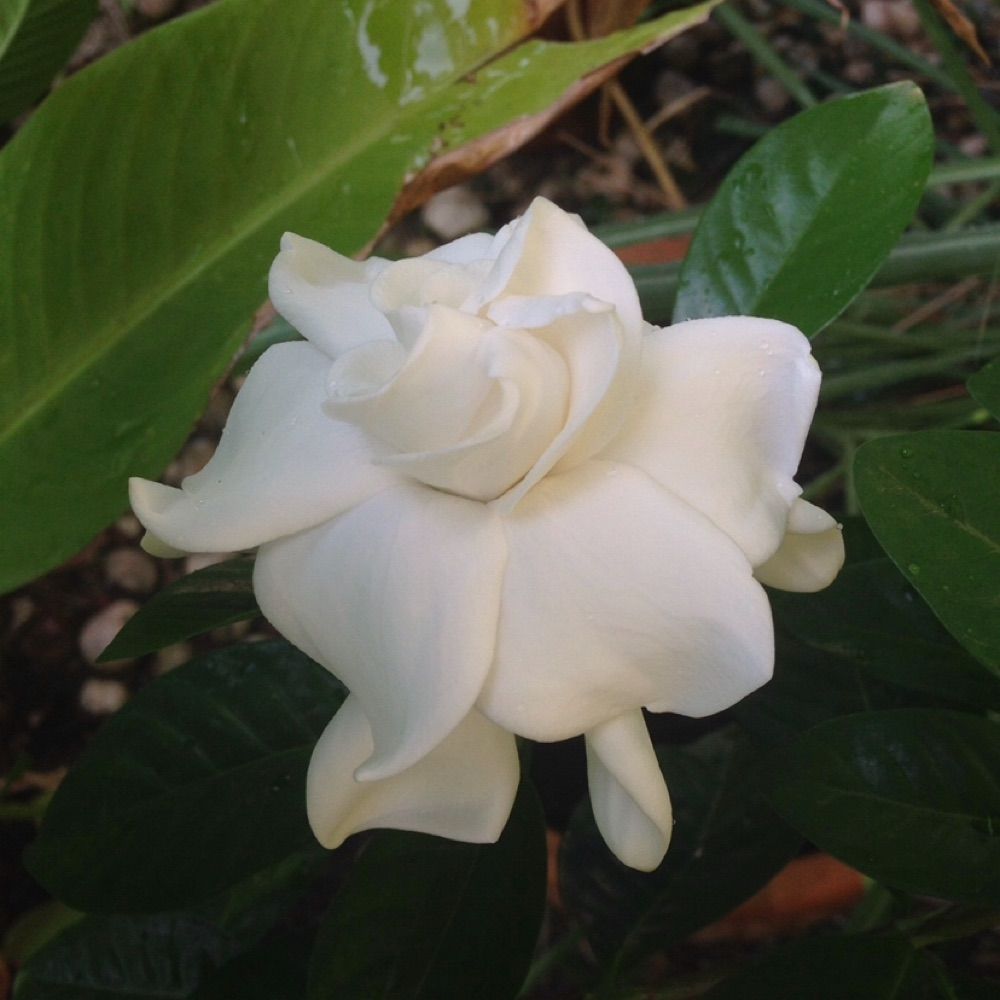 atthebeach93.bsky.social