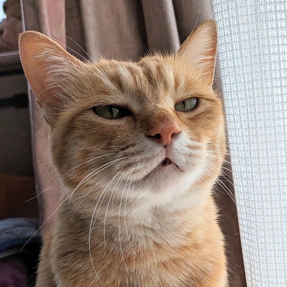 みな