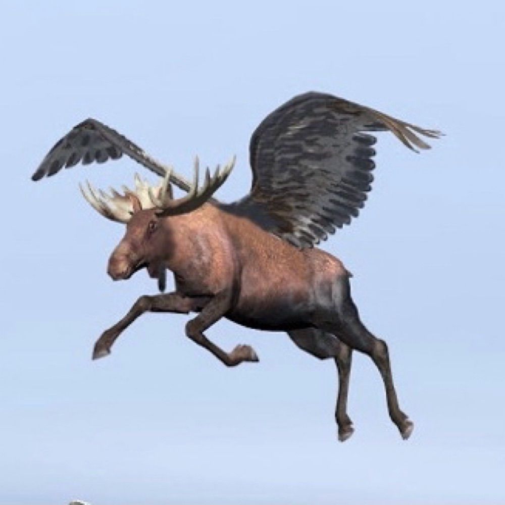 FlyingMoose