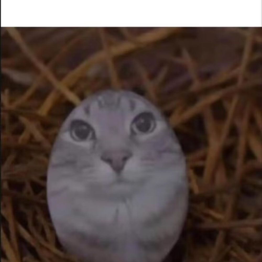 sononaka
