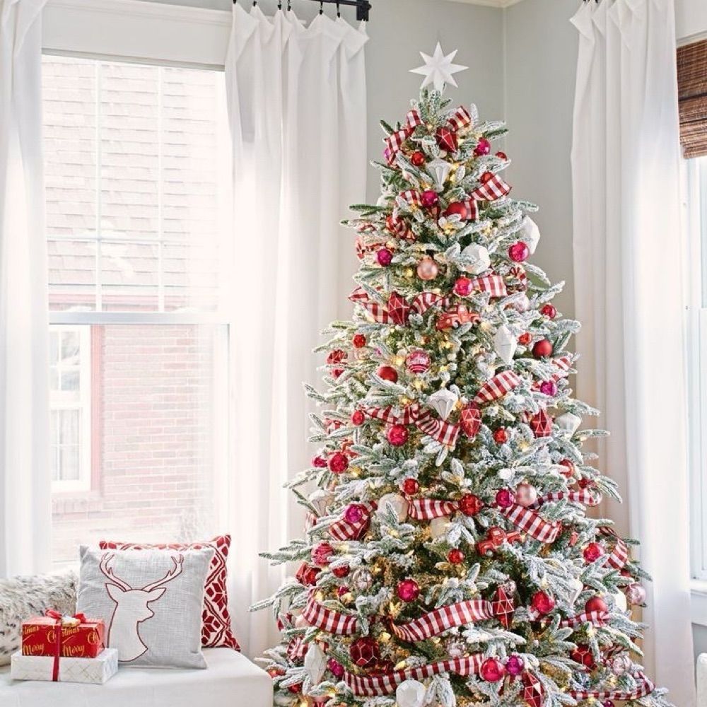 Christmas 🎄