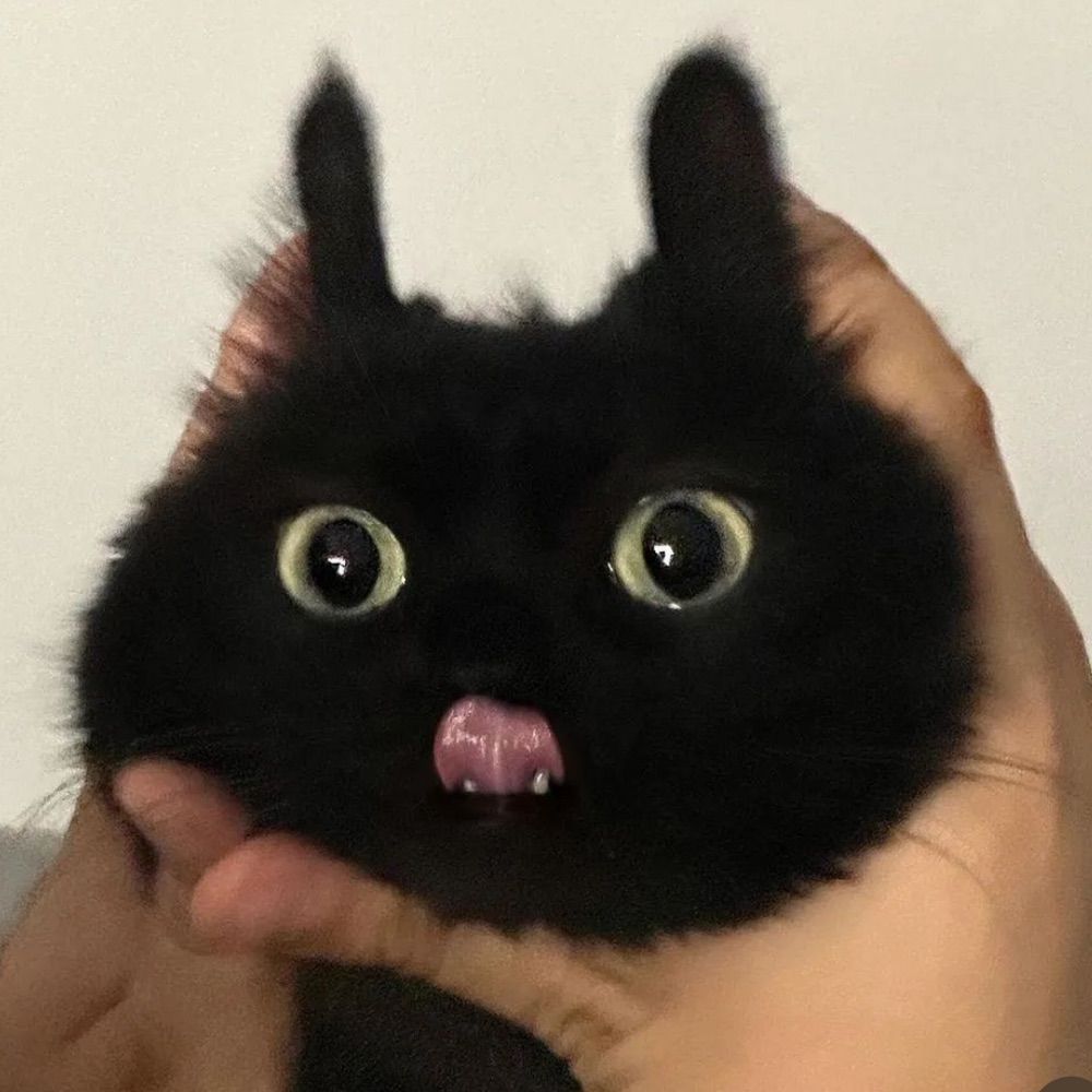 bibi