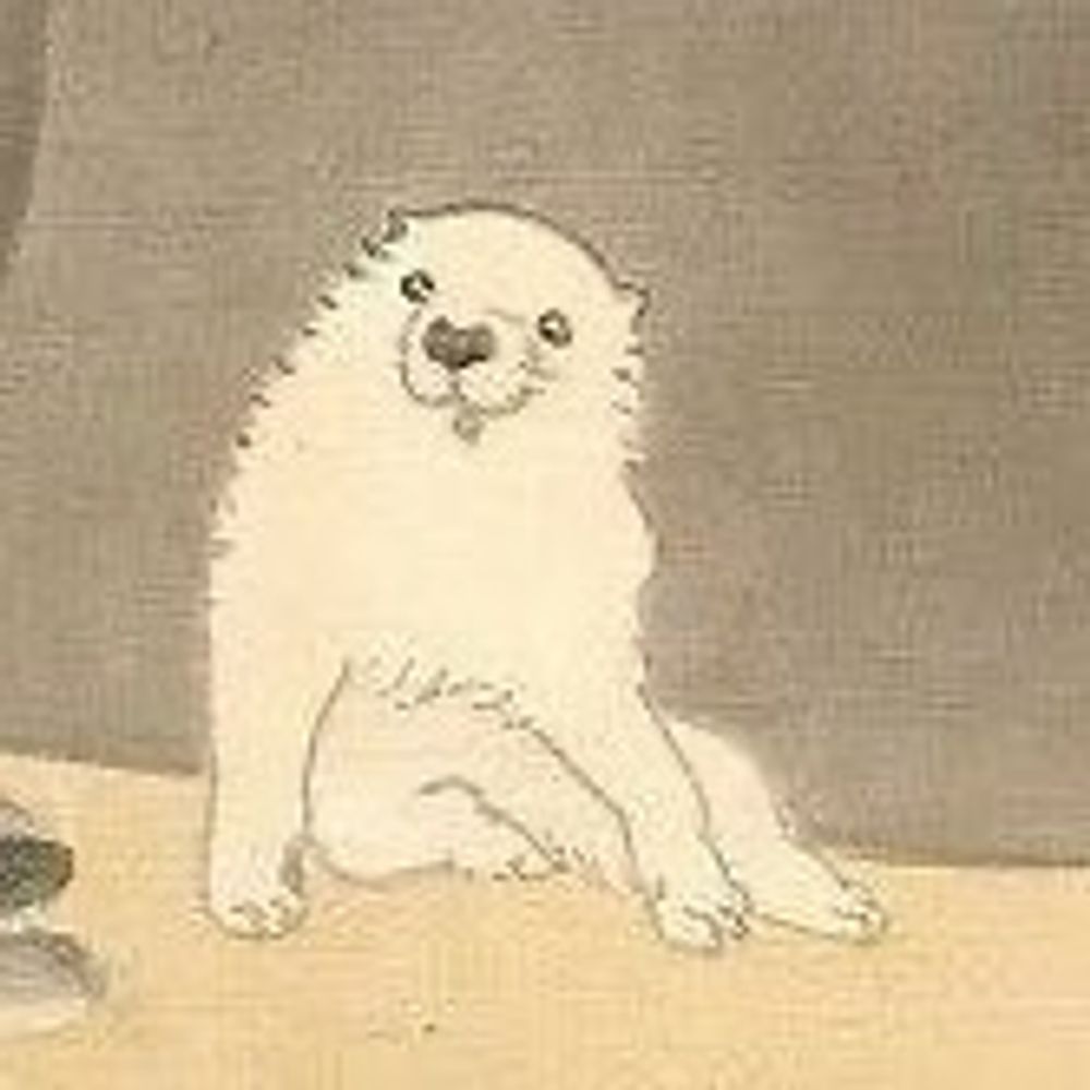 しゃくはち