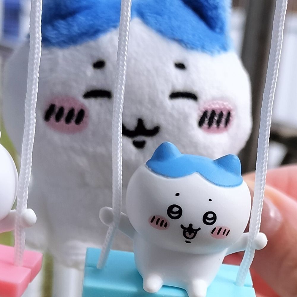 後ろのハチワレ(友好型)