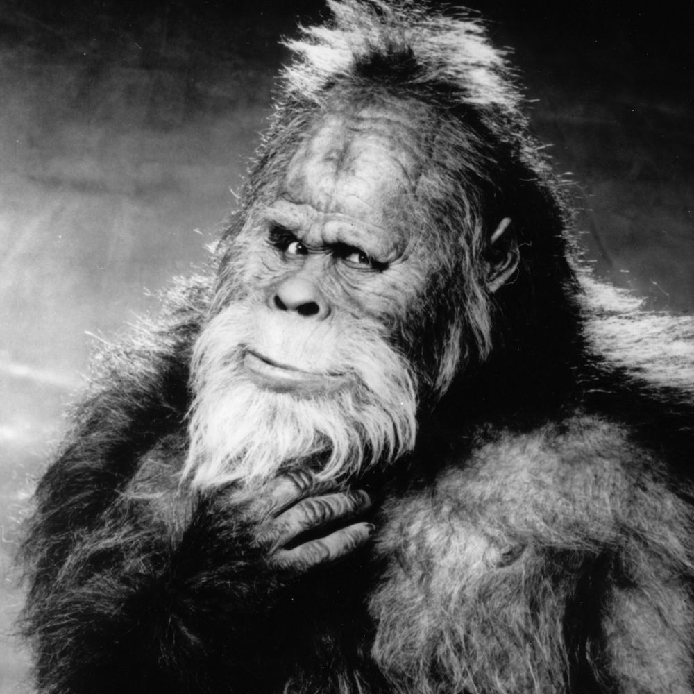 Comissioner F. Sasquatch