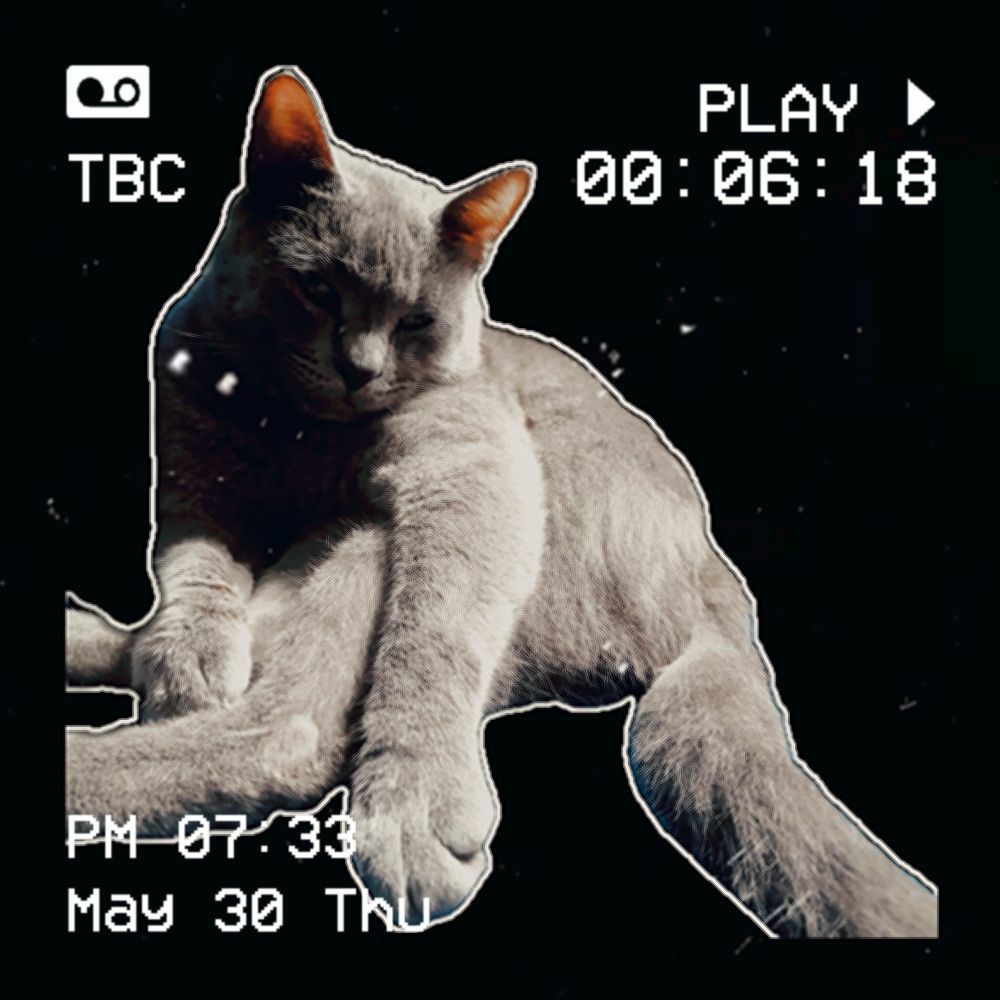 anitter_f5