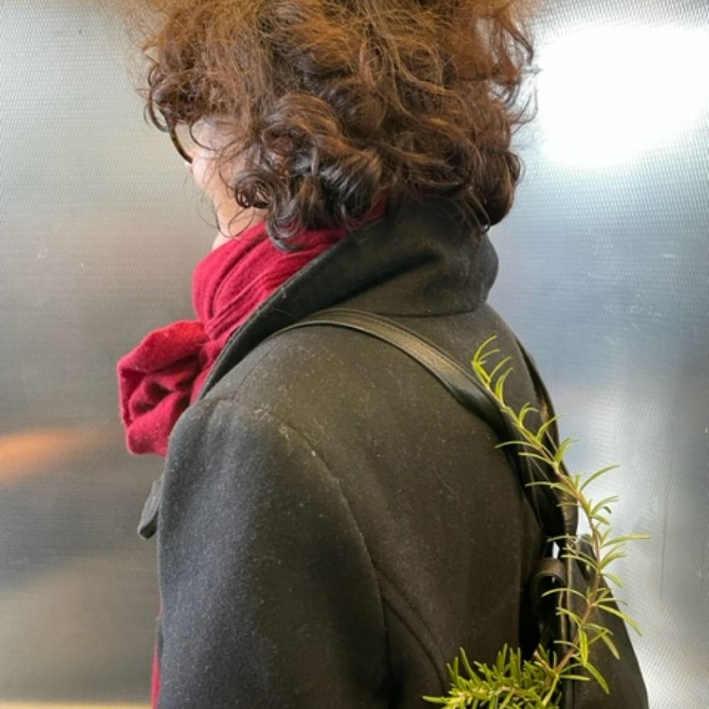 Susanna Niederer