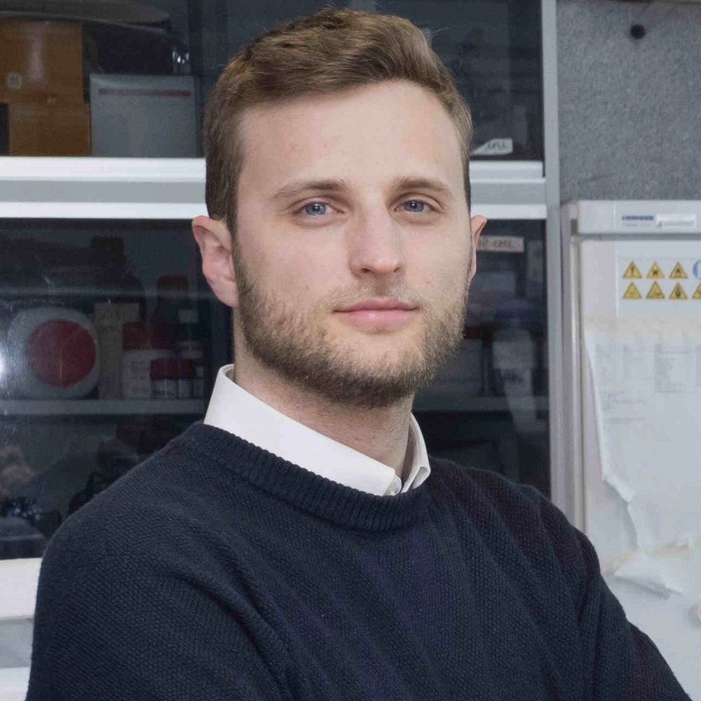 Davide Bressan