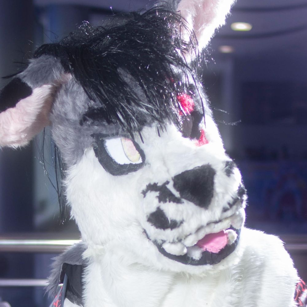 Lightizer Wolf
