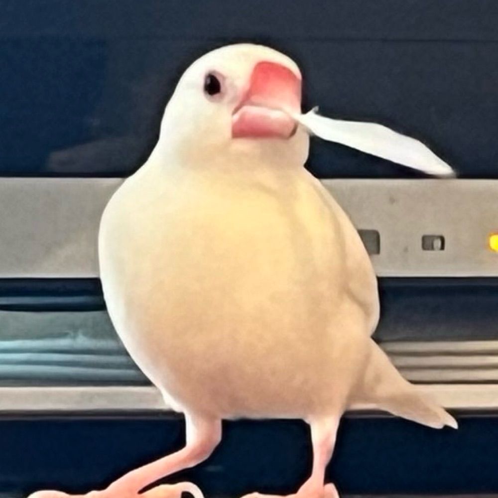 fukuit