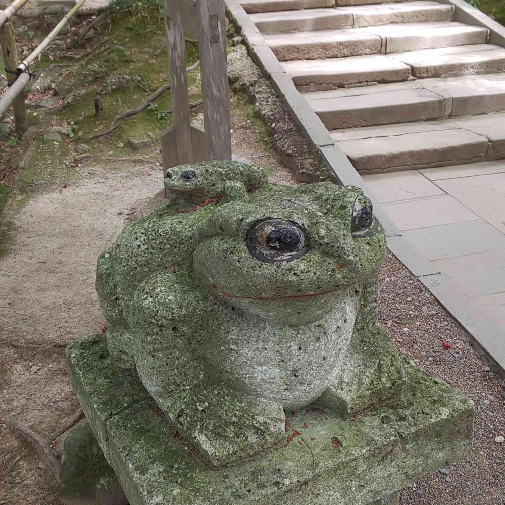 柴とら（長老）