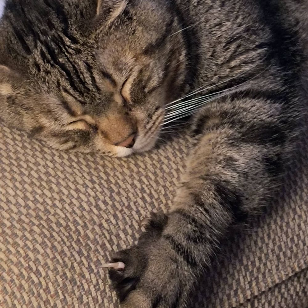 Milly