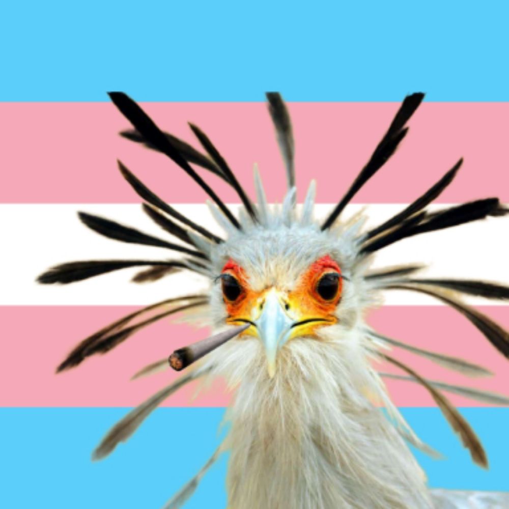 cockodemon