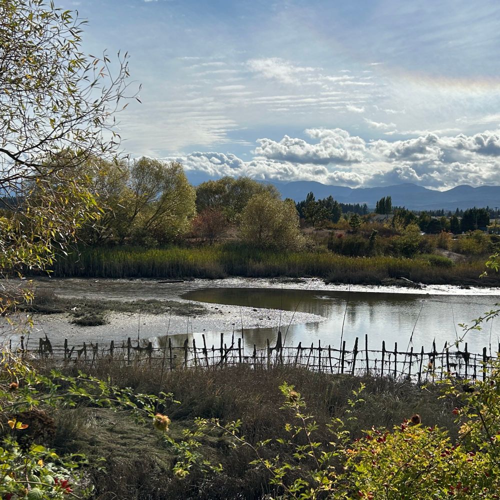 🍁🇨🇦Andrew Masee 🇨🇦🍁