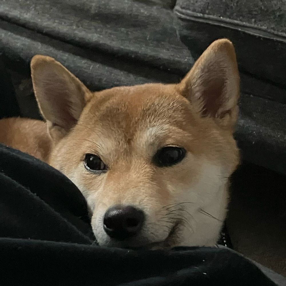 ちくわぶ