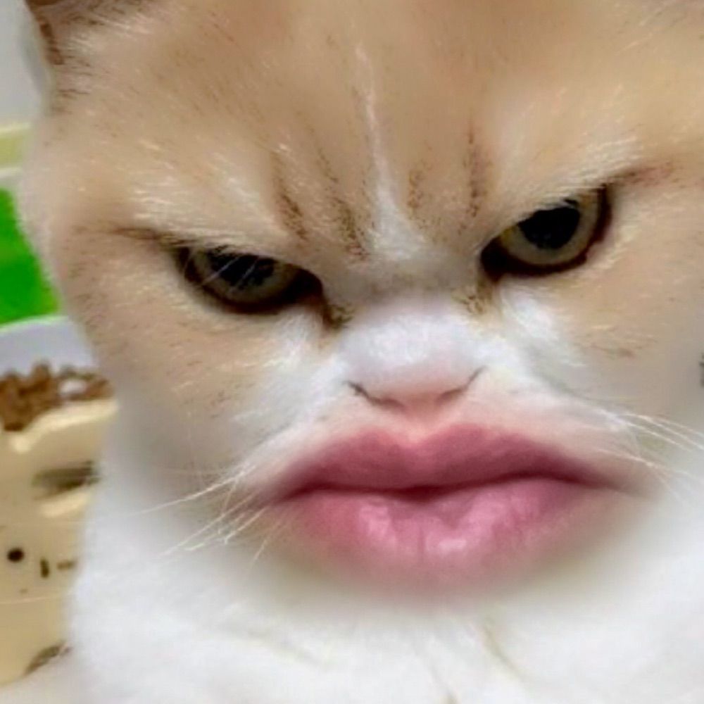 Royally Fed up