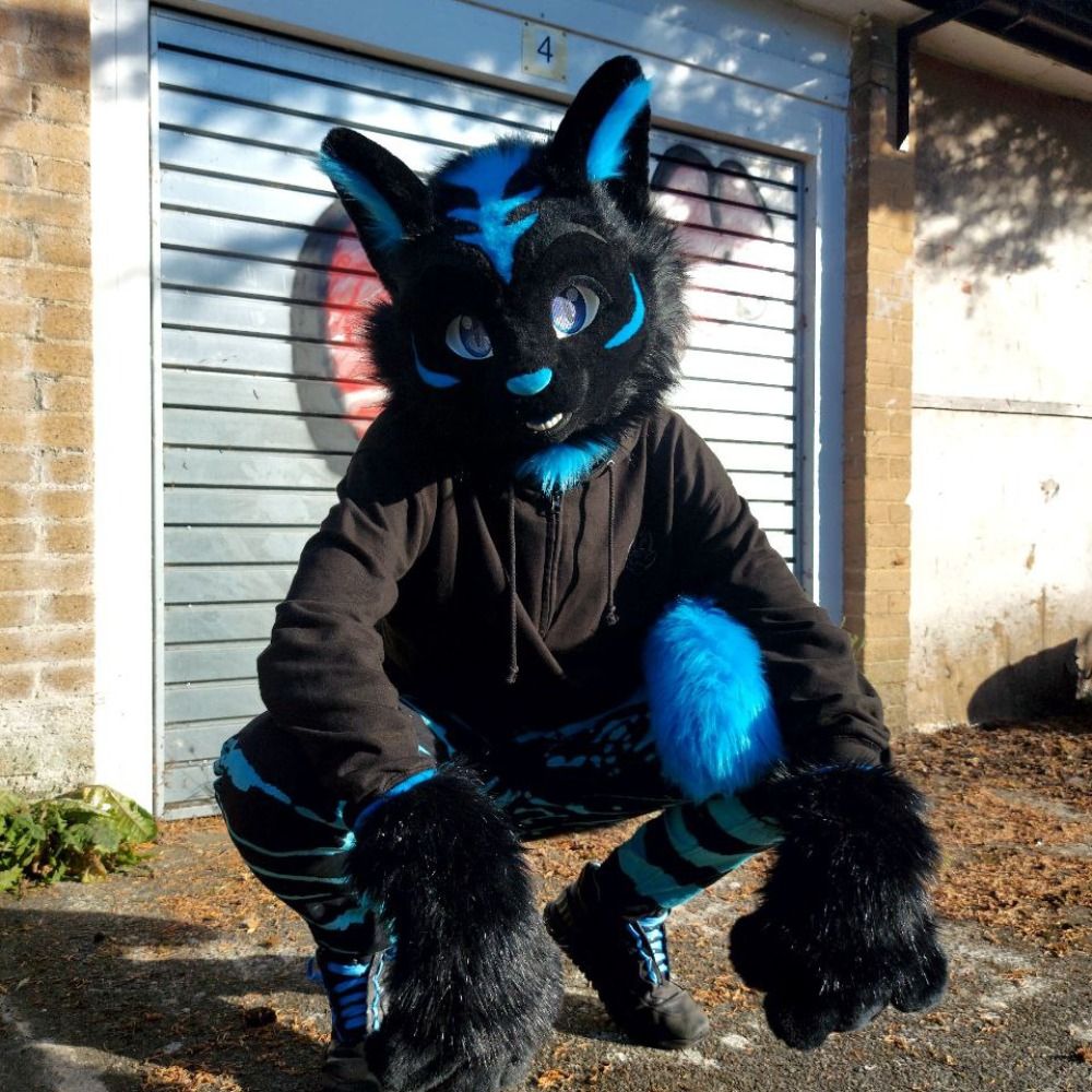 Joey -> CFZ