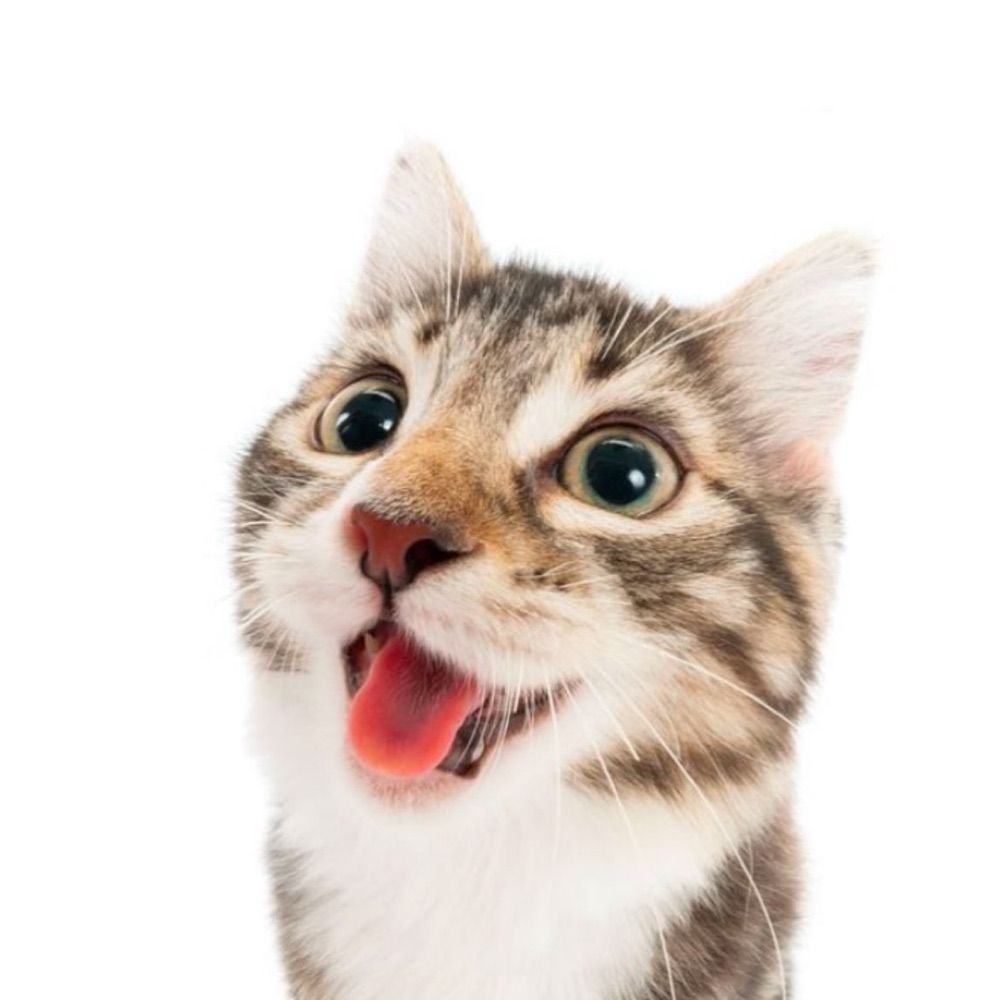 gab