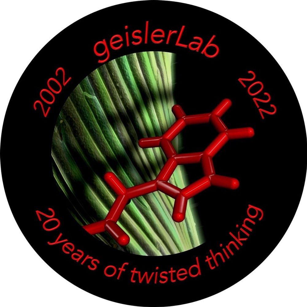 geislerLab