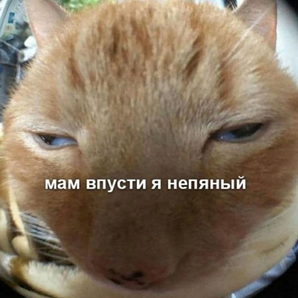 Соня