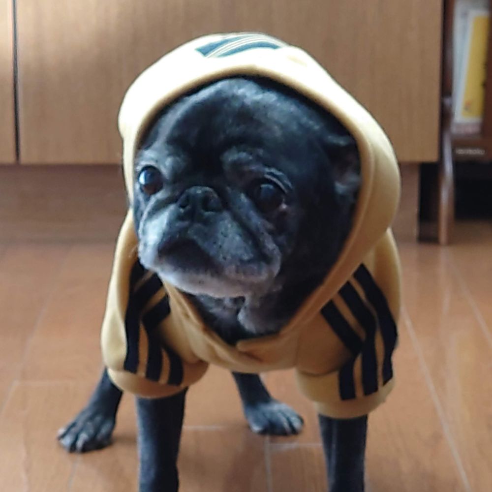 たこ