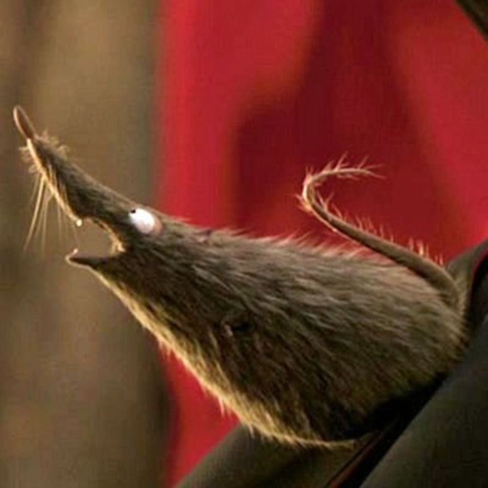 Esmer_the_Rat