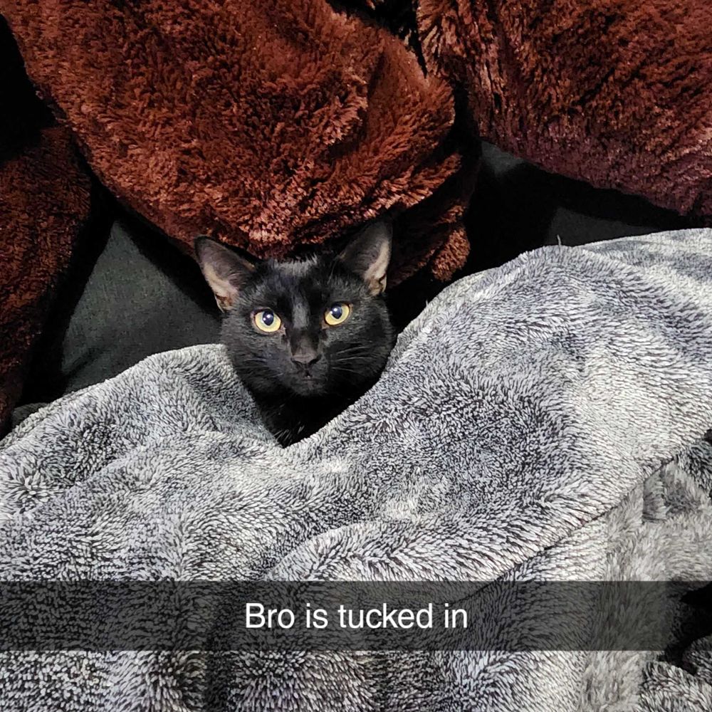 Mose with toes