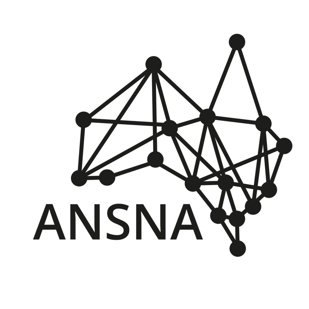 Australian Network for Social Network Analysis