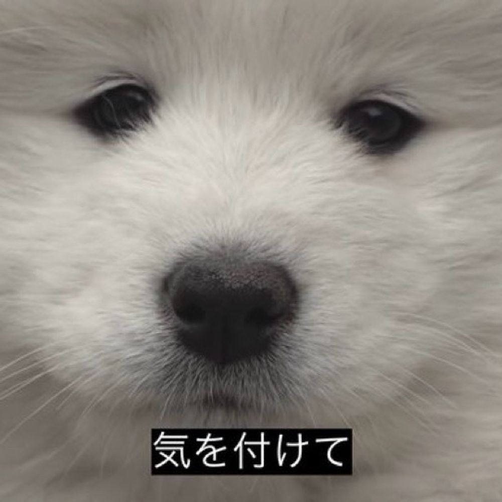 あらき