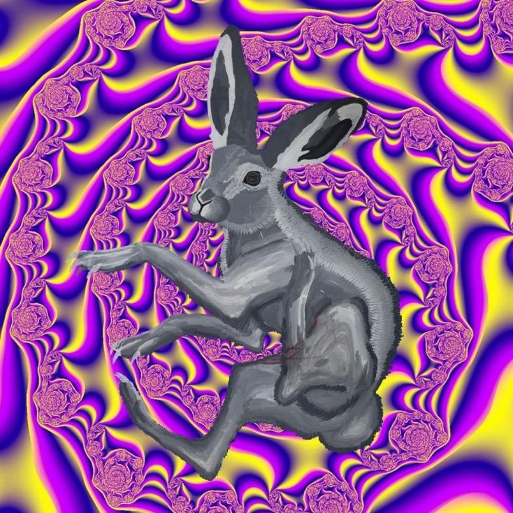 The Rabbit Hole
