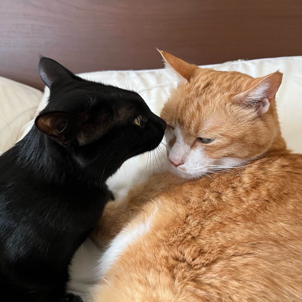 にしお