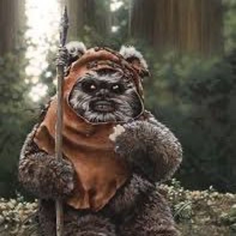 Endor on Hoth ❄️🪵☃️🌨️❄️