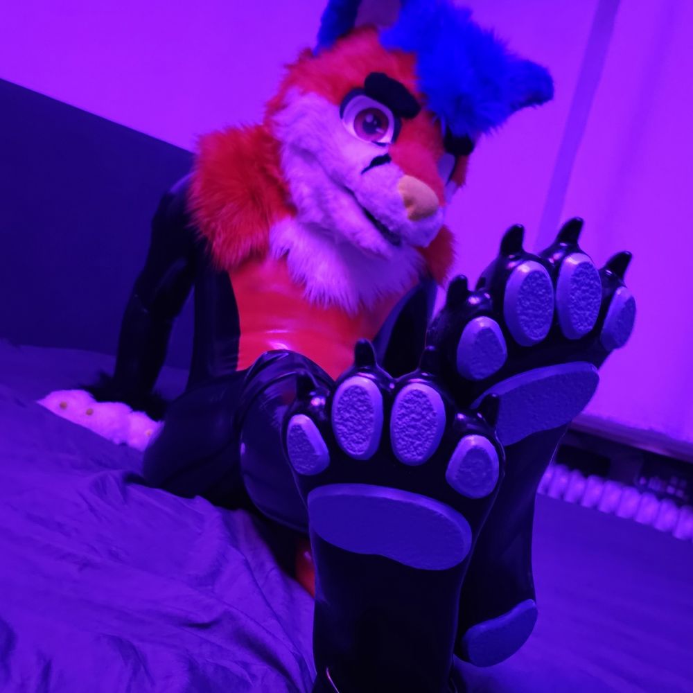NeroFoxpawAD