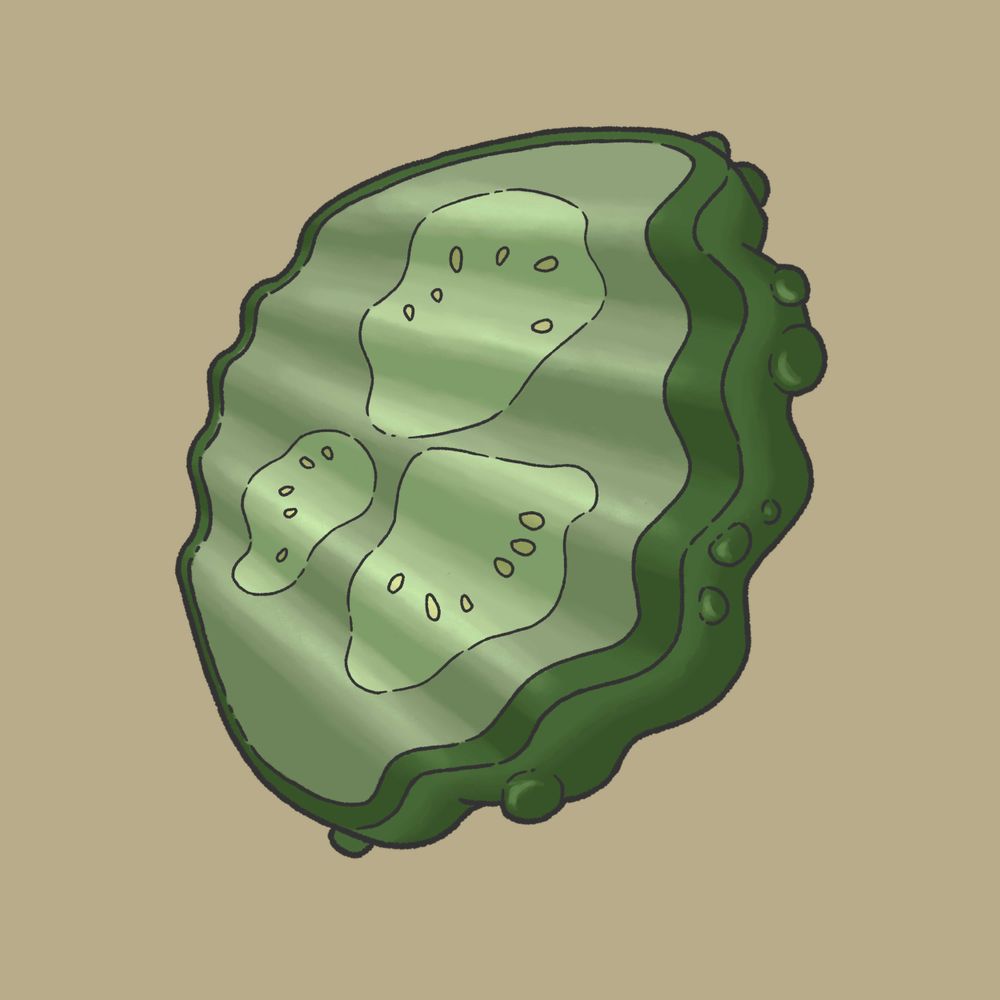 pickle pickle