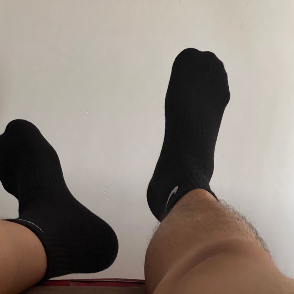 白袜熊