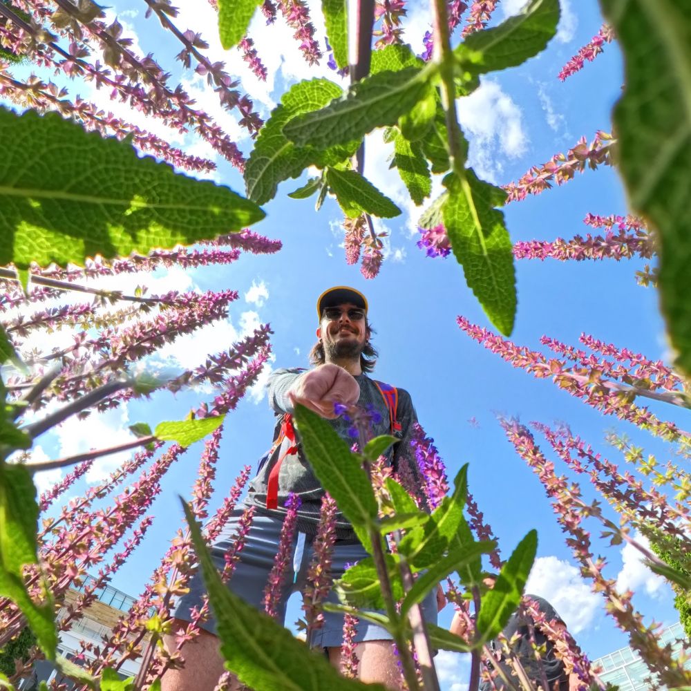 stephenpecker.bsky.social