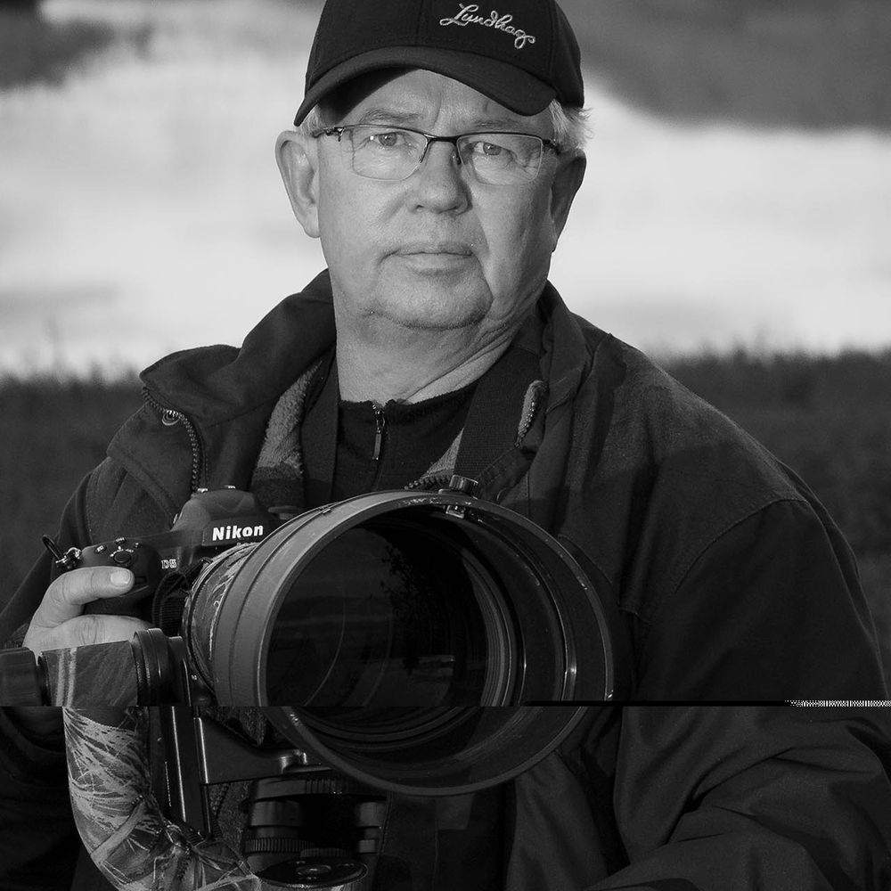Roger Vikström