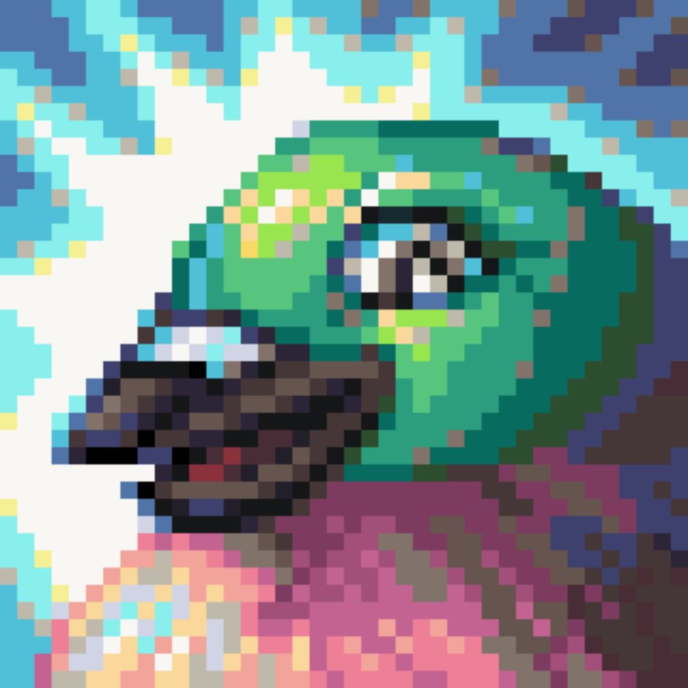 Blindeduif (Coms open)
