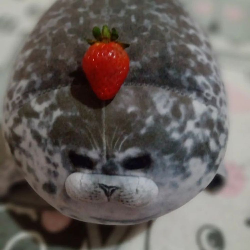 Silly Seal