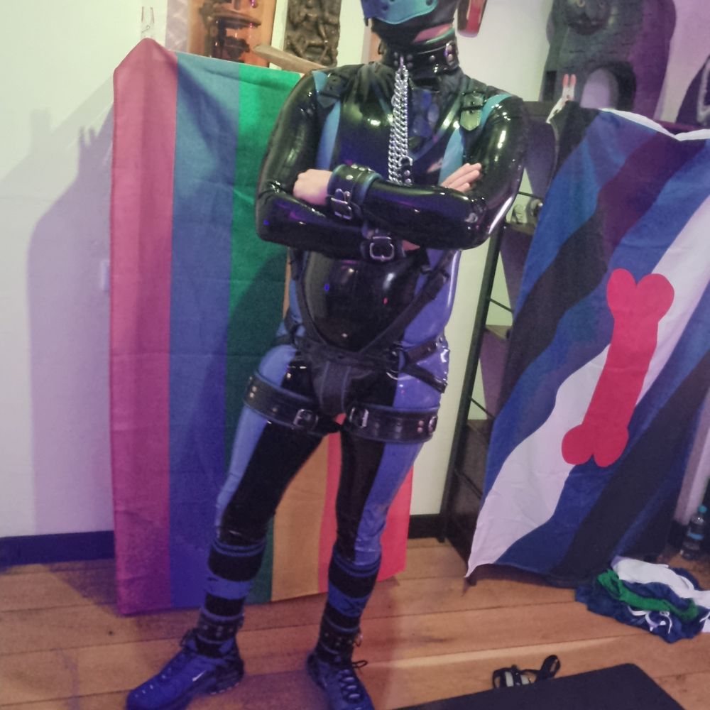 Pup Blue